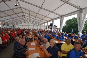 Županijski susret umirovljenika 16.06.2018 (43)